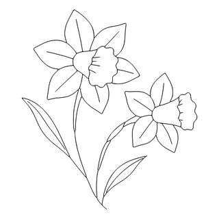 Risco: Narcisos