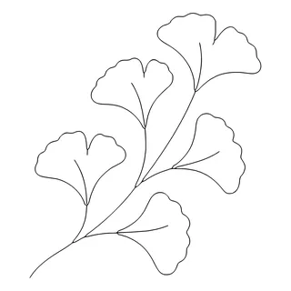 Risco: Ramo de ginkgo